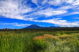 Lava Lake reeds and Mt. Bachelor-1481 Lava Lake reeds and Mt. Bachelor-1481